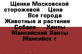 Щенки Московской сторожевой  › Цена ­ 25 000 - Все города Животные и растения » Собаки   . Ханты-Мансийский,Ханты-Мансийск г.